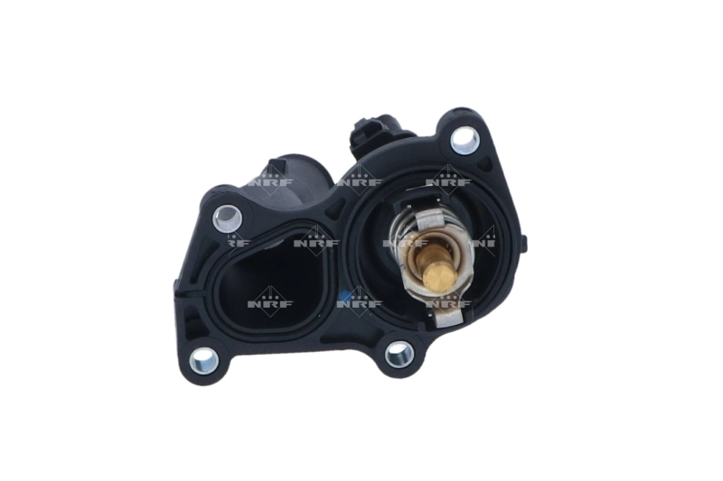 Termostat lichid racire