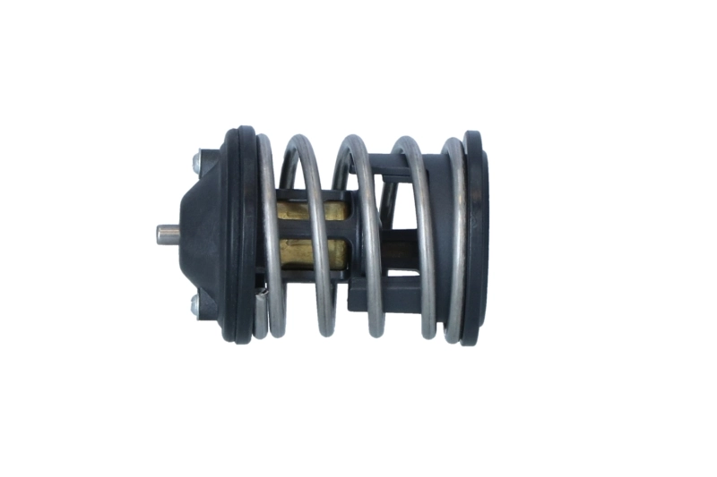 Termostat lichid racire