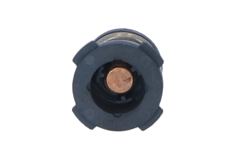 Termostat lichid racire