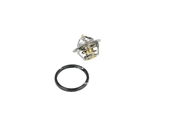 Termostat lichid racire