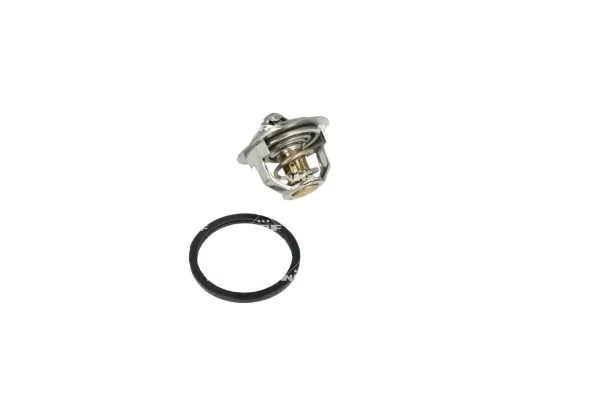 Termostat lichid racire