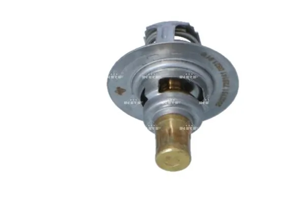 Termostat lichid racire
