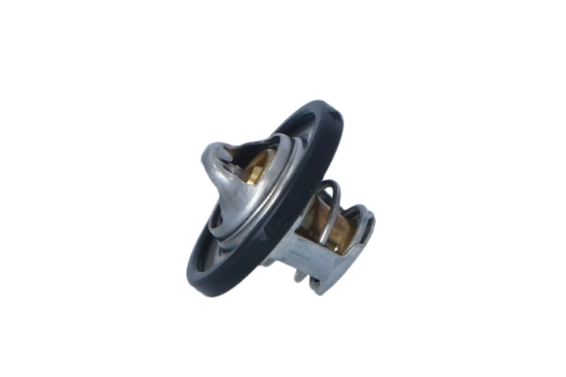 Termostat lichid racire