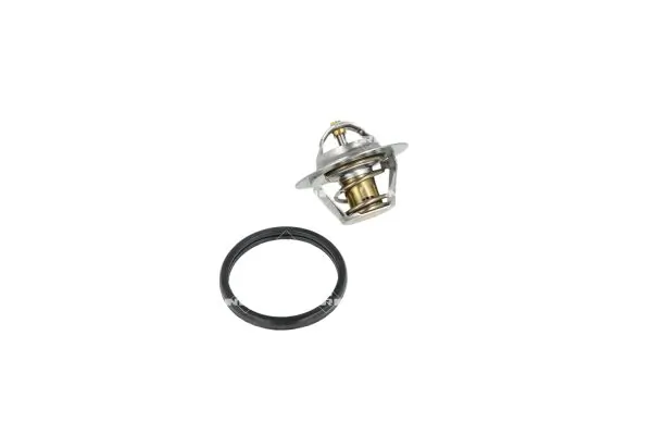 Termostat lichid racire