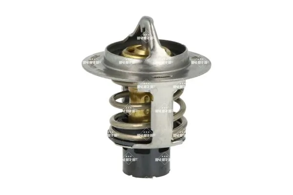 Termostat lichid racire