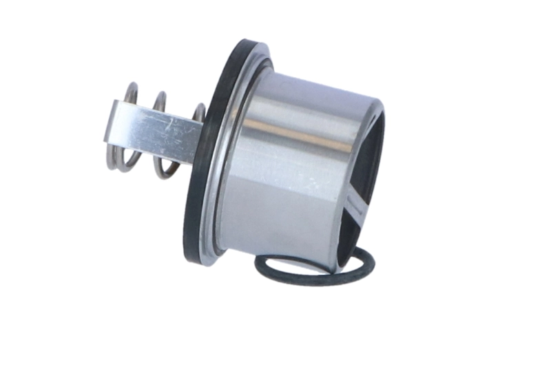 Termostat lichid racire