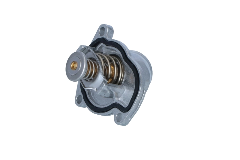 Termostat lichid racire