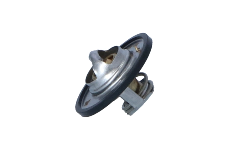 Termostat lichid racire