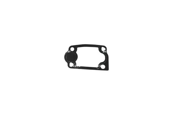 Termostat lichid racire