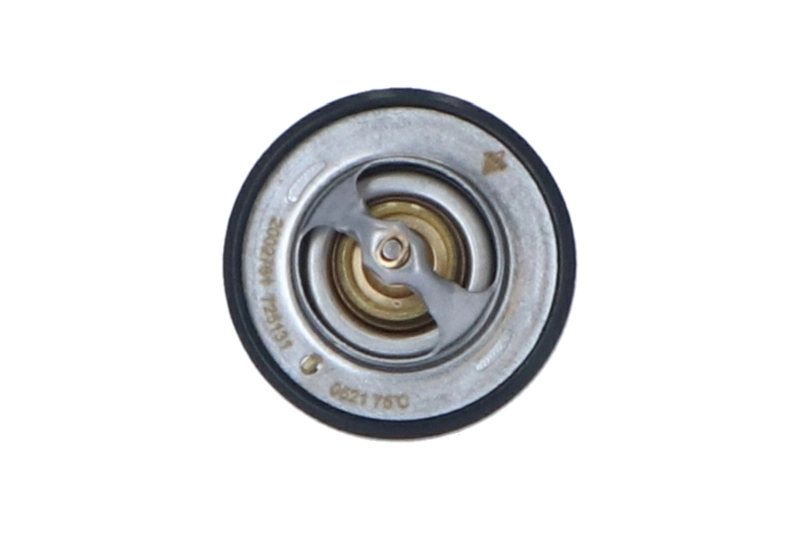 Termostat lichid racire
