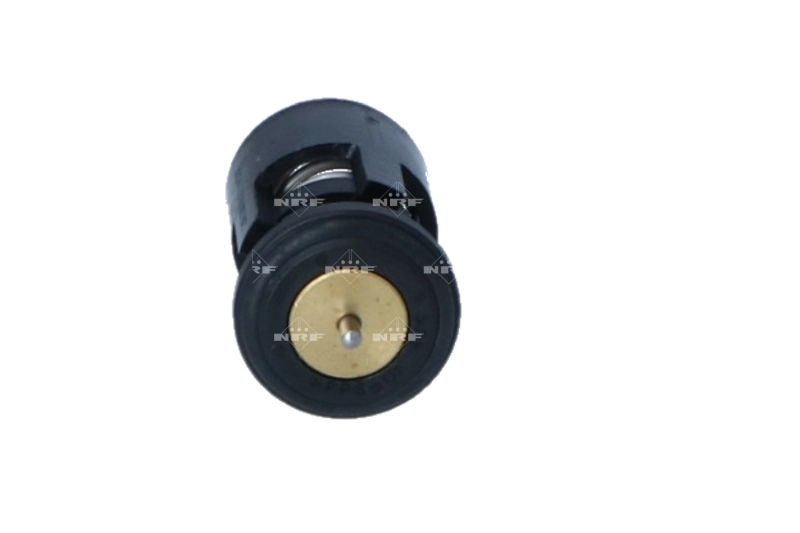 Termostat lichid racire