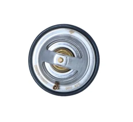 Termostat lichid racire
