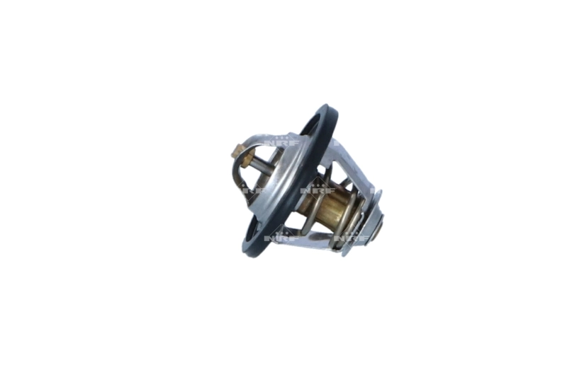 Termostat lichid racire
