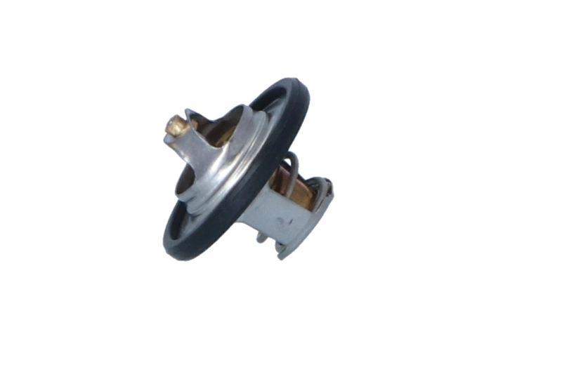 Termostat lichid racire