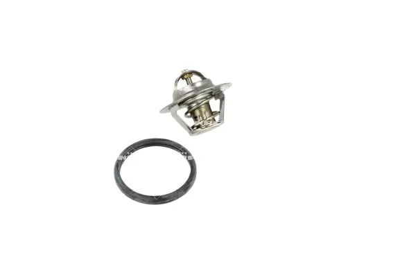 Termostat lichid racire