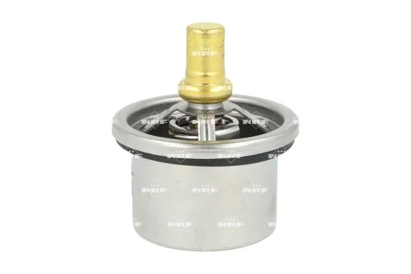 Termostat lichid racire