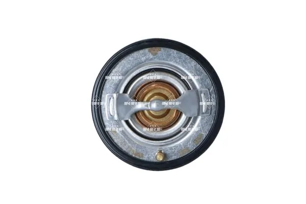 Termostat lichid racire
