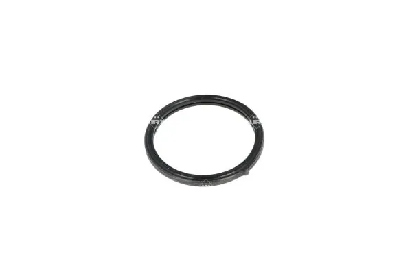 Termostat lichid racire