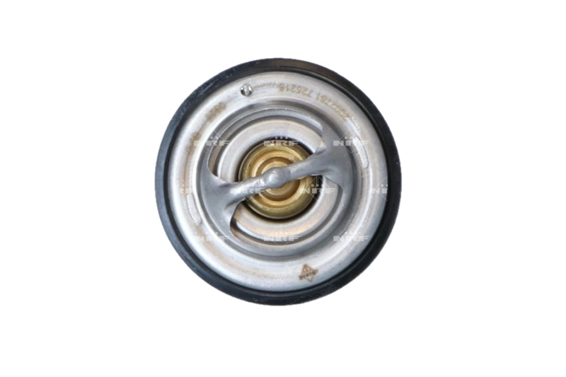 Termostat lichid racire