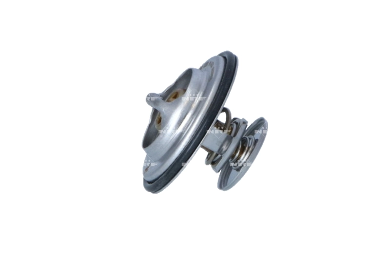 Termostat lichid racire