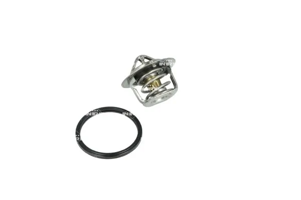 Termostat lichid racire