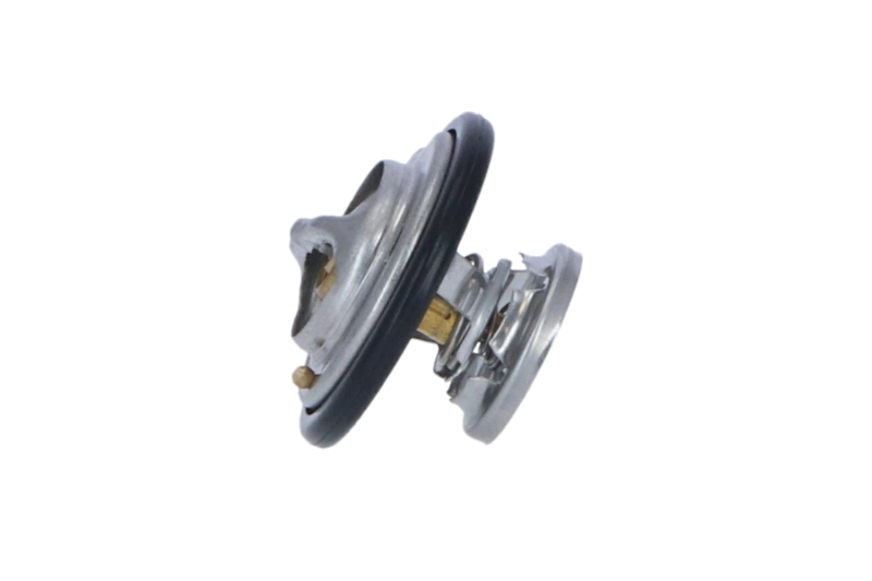 Termostat lichid racire