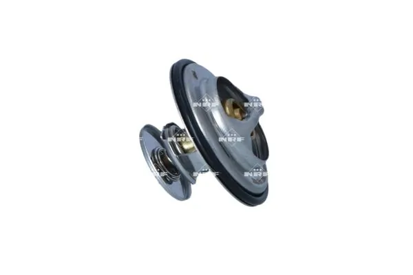 Termostat lichid racire