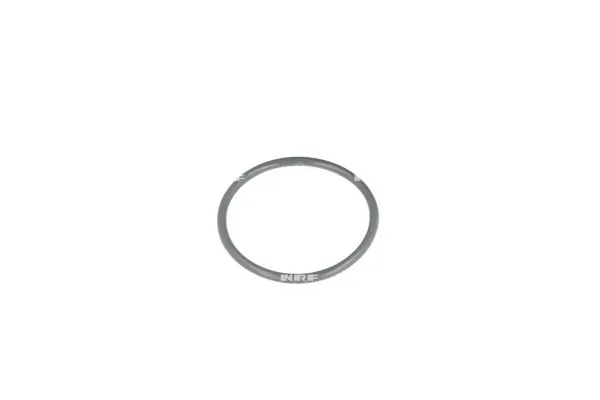 Termostat lichid racire