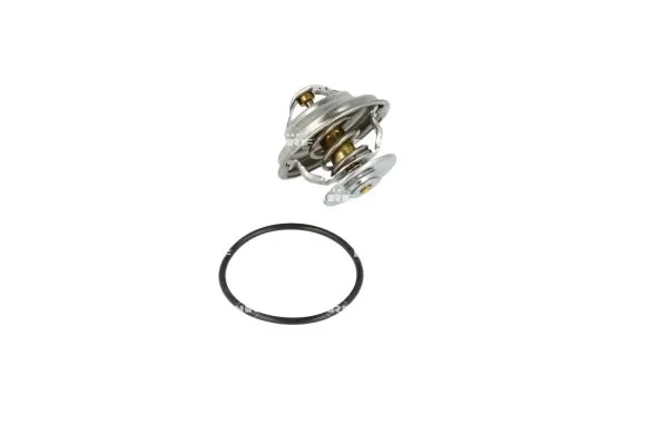 Termostat lichid racire