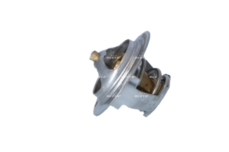 Termostat lichid racire