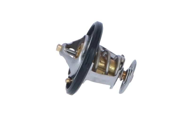 Termostat lichid racire