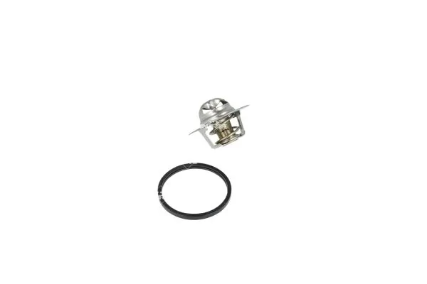 Termostat lichid racire