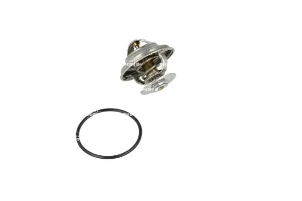 Termostat lichid racire