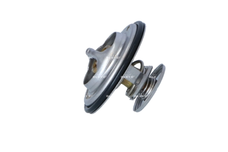 Termostat lichid racire