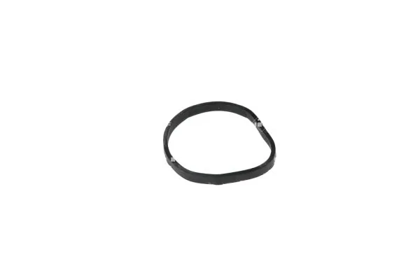 Termostat lichid racire