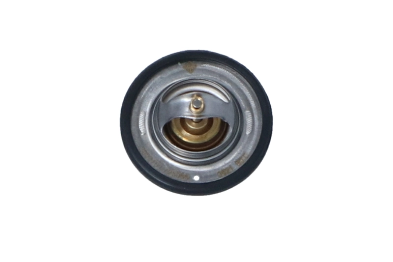 Termostat lichid racire
