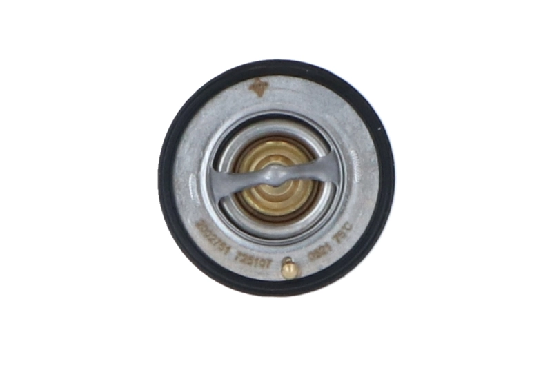 Termostat lichid racire