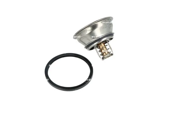 Termostat lichid racire