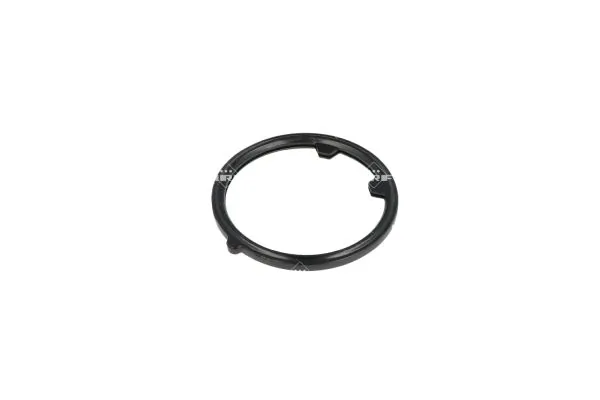 Termostat lichid racire