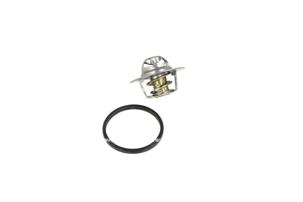 Termostat lichid racire
