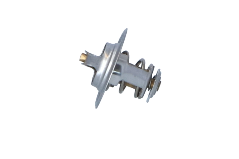 Termostat lichid racire