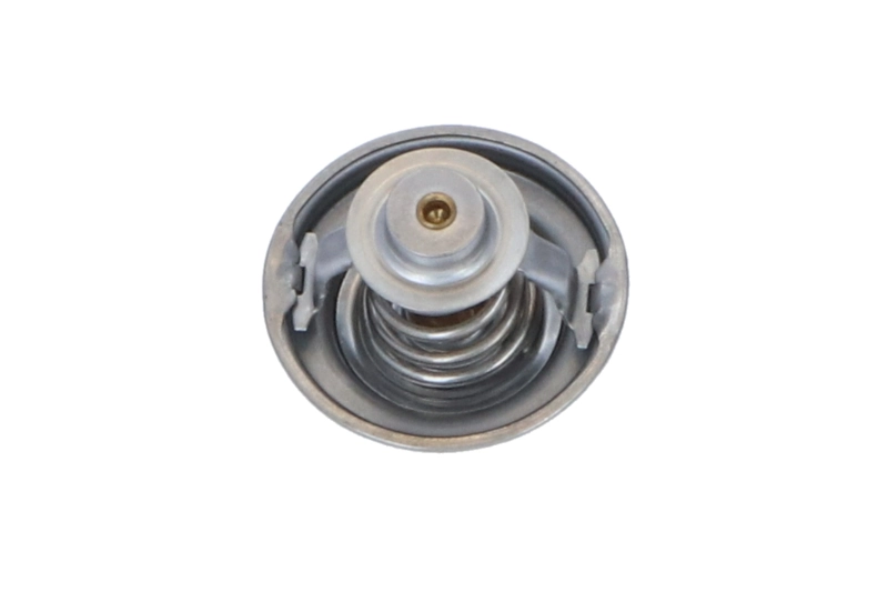 Termostat lichid racire