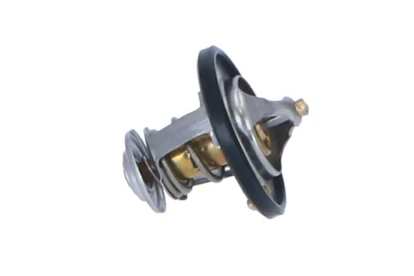 Termostat lichid racire
