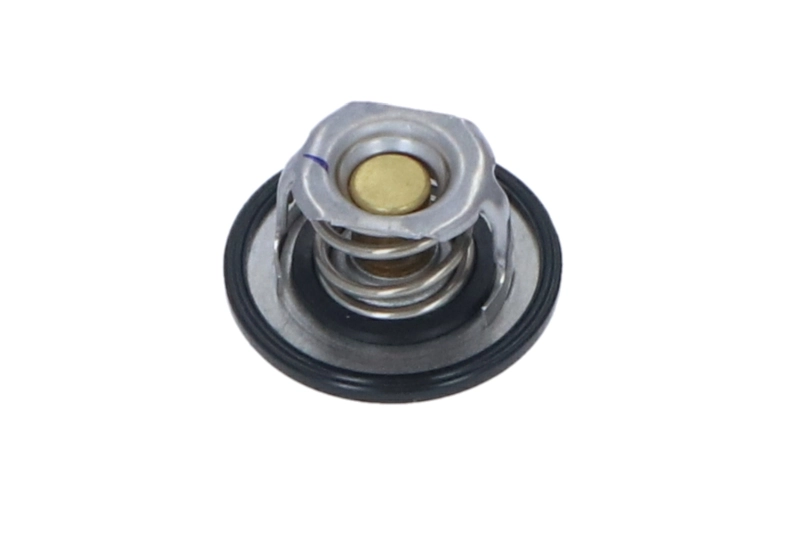 Termostat lichid racire