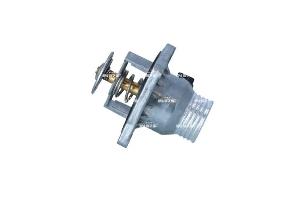 Termostat lichid racire