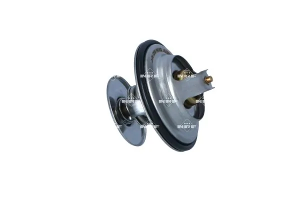 Termostat lichid racire