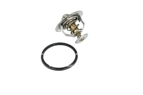 Termostat lichid racire