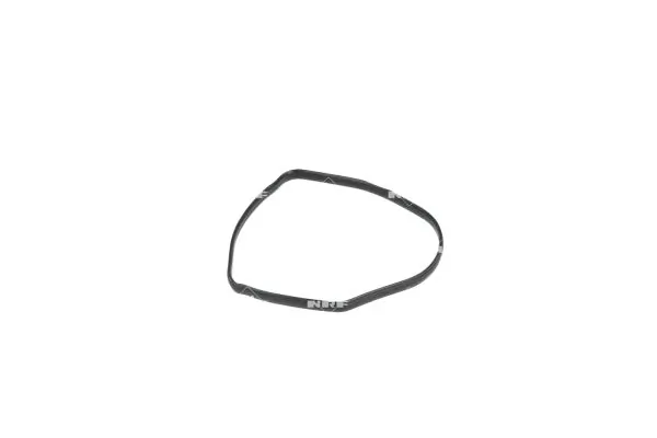 Termostat lichid racire