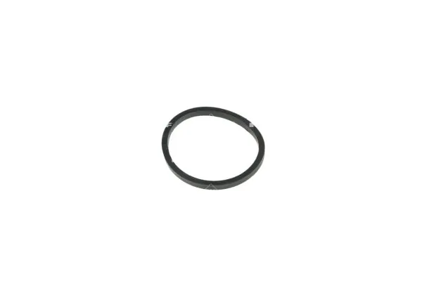 Termostat lichid racire