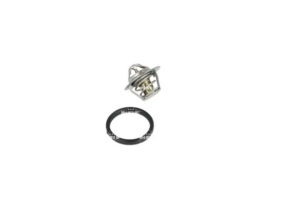 Termostat lichid racire